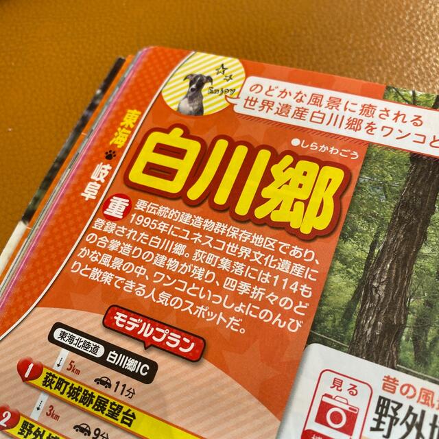 お散歩もお泊まりもペットといっしょ！ 京阪神発・名古屋発’１８ エンタメ/ホビーの本(地図/旅行ガイド)の商品写真