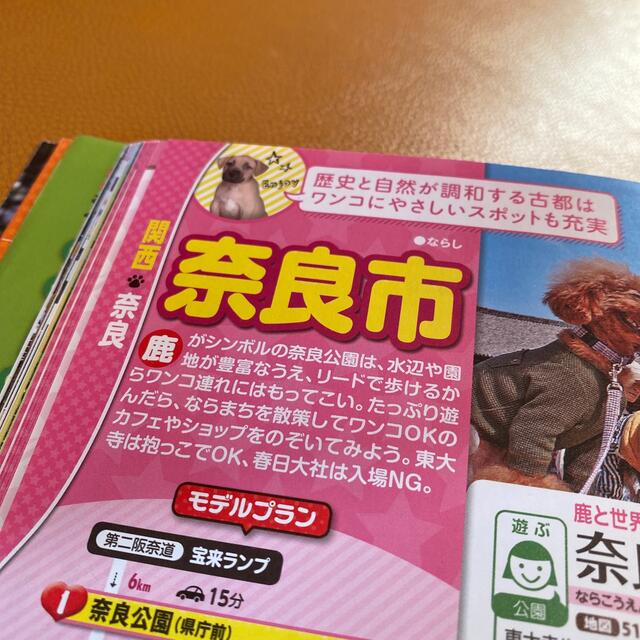 お散歩もお泊まりもペットといっしょ！ 京阪神発・名古屋発’１８ エンタメ/ホビーの本(地図/旅行ガイド)の商品写真