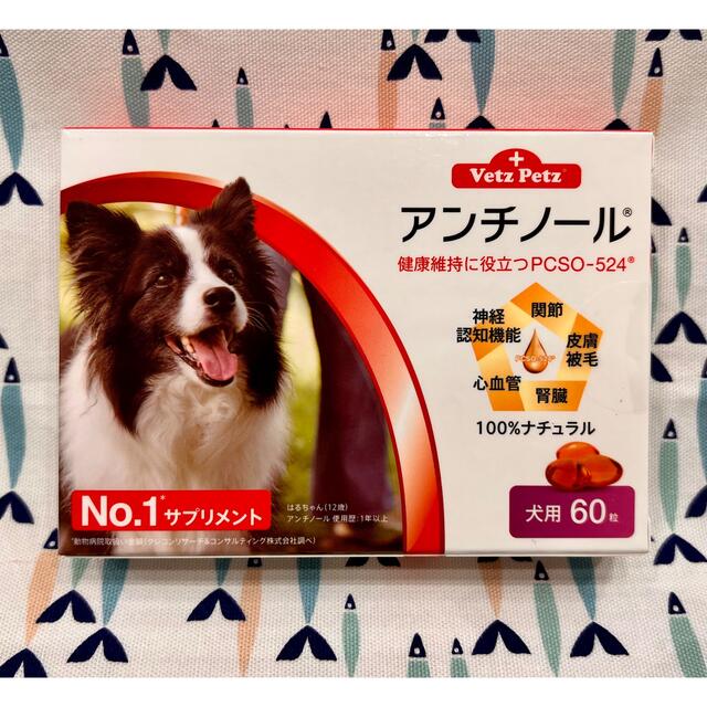 アンチノール　犬用　60粒　ご注文品