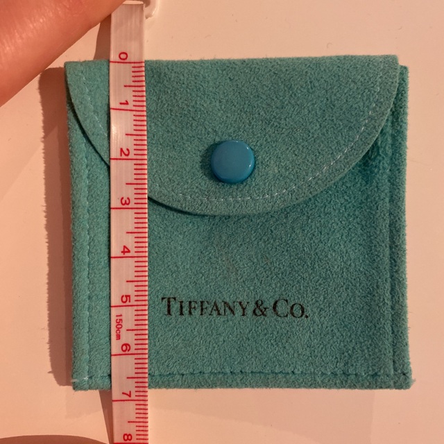 Tiffany & Co.(ティファニー)のTiffany アクセサリー入れ　2点 レディースのバッグ(ショップ袋)の商品写真