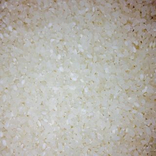ブレンド精米　(うるち米)　　　24Kg(米/穀物)