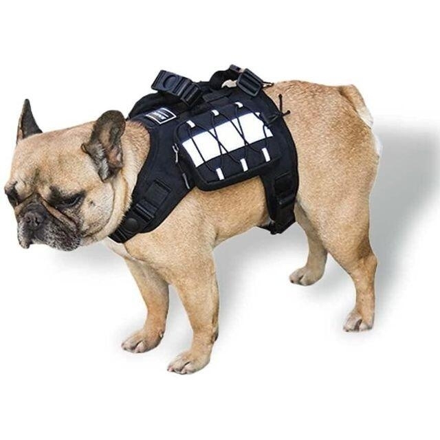 工場直送 ペットハーネス 犬用ハーネス かわいい バッグ シンプル 15type ソフトハーネス おしゃれ 犬用品ハーネス 猫 犬ハーネス ハーネス ベルト ブランド 反射 胴輪 ペット ドッグウェア プレゼント ギフト 散歩 小型犬 お揃い 犬のハーネス ドッグハーネス リード