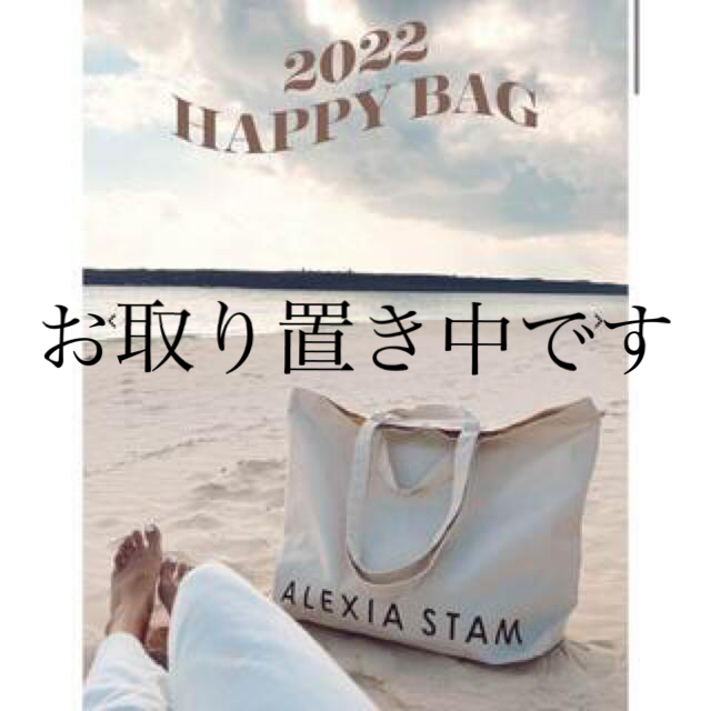 ALEXIA STAM 2022 HAPPY BAGその他