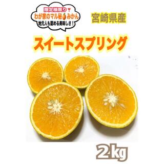 【希少】わが家のマル秘みかん❣️スイートスプリング2㎏/国産レモン　蜜柑　果物　(フルーツ)
