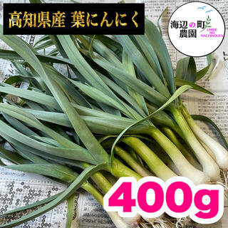 高知県産【高級食材♪葉ニンニク】400g   産地直送！　即購入OKです。(野菜)