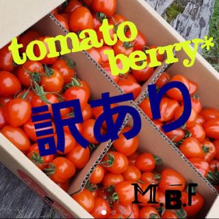 訳ありトマトベリー3kg(野菜)