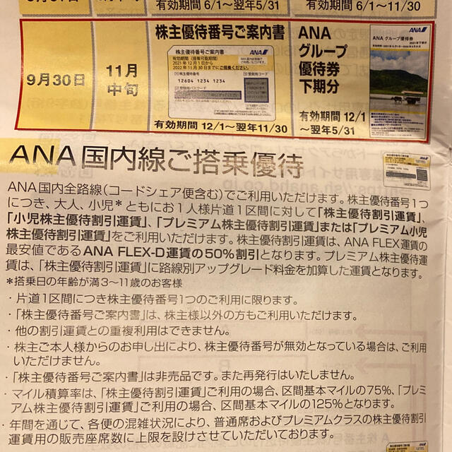 ANA(全日本空輸)(エーエヌエー(ゼンニッポンクウユ))のANA 株主優待券 チケットの優待券/割引券(その他)の商品写真