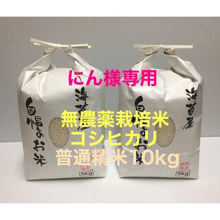にん様専用 無農薬コシヒカリ普通精米10kg(5kg×2)令和3年 徳島県産(米/穀物)