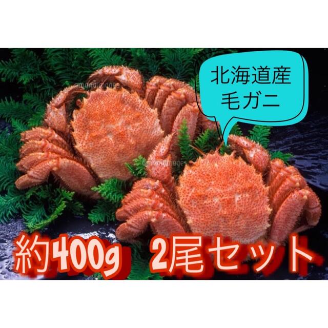 北海道産　毛ガニ　ボイル　冷凍魚介