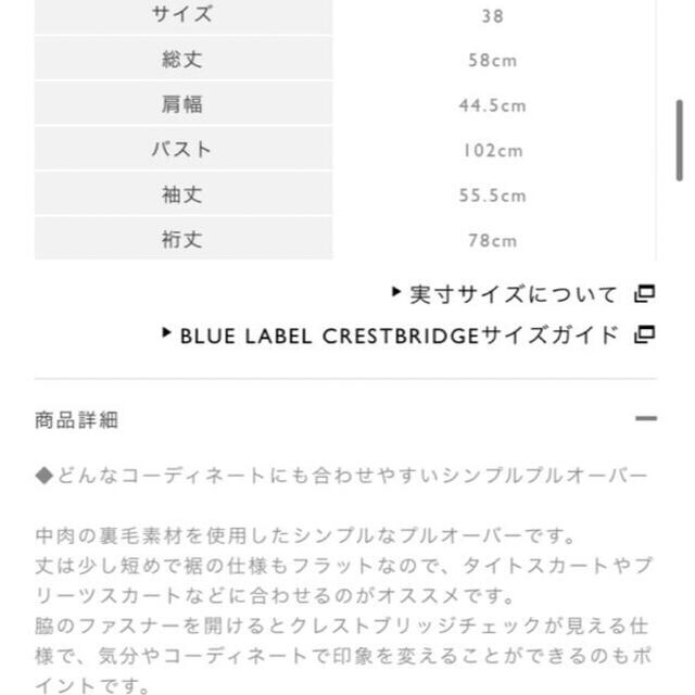 BURBERRY BLUE LABEL(バーバリーブルーレーベル)のブルーレーベル クレストブリッジ 裏毛 プルオーバー カットソー スウェット レディースのトップス(トレーナー/スウェット)の商品写真