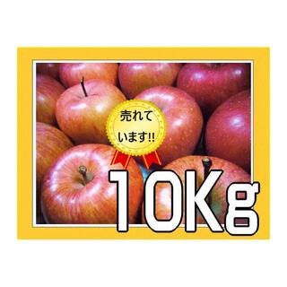 【リンゴ】サンフジ　サンふじ フジ 10kg 中玉から小玉【訳あり】りんご