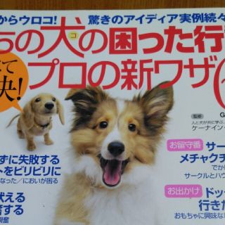 うちの犬の困った行動すべて解決！プロの新ワザ６４ 目からウロコ！驚きのアイディア(住まい/暮らし/子育て)