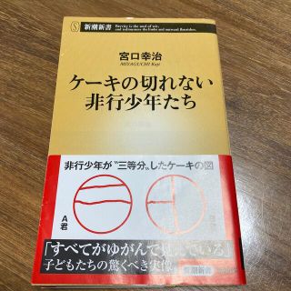 ケーキの切れない非行少年たち(その他)