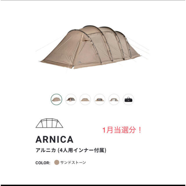 サバティカル　アルニカ　SABBATICAL  ARNICA