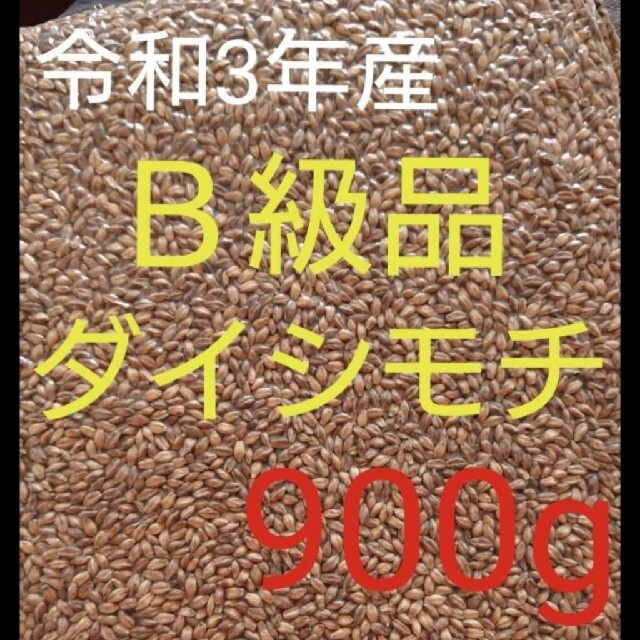 令和3年産 ダイシモチ 玄麦 食品/飲料/酒の食品(米/穀物)の商品写真