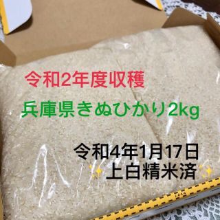 白米　兵庫県産　きぬひかり　2kg(米/穀物)