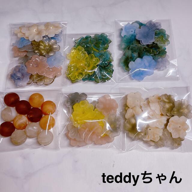 teddyちゃん