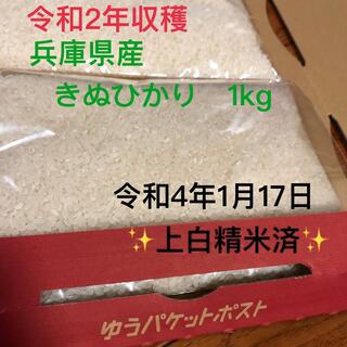 白米　兵庫県産きぬひかり　1kg(米/穀物)