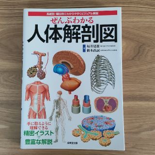 ぜんぶわかる人体解剖図 系統別・部位別にわかりやすくビジュアル解説(健康/医学)