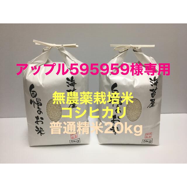 アップル595959様専用 無農薬コシヒカリ普通精米20kg(5kg×4)令和3 米/穀物 【限定価格セール！】 - www.odisso.com