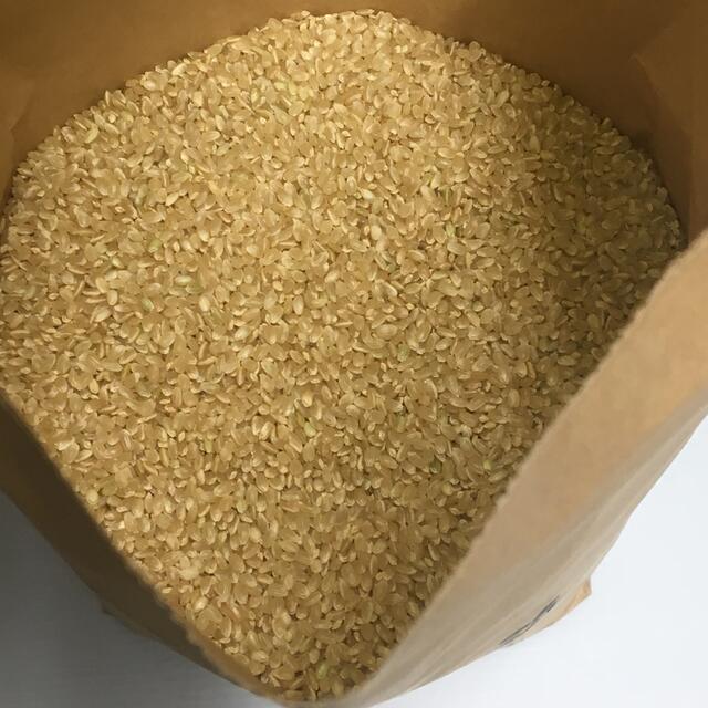 アップル595959様専用 無農薬コシヒカリ普通精米20kg(5kg×4)令和3 食品/飲料/酒の食品(米/穀物)の商品写真