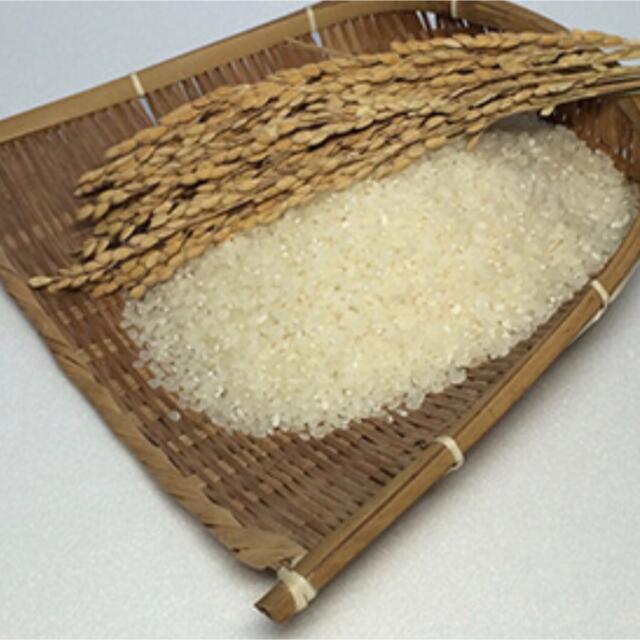 アップル595959様専用 無農薬コシヒカリ普通精米20kg(5kg×4)令和3 食品/飲料/酒の食品(米/穀物)の商品写真