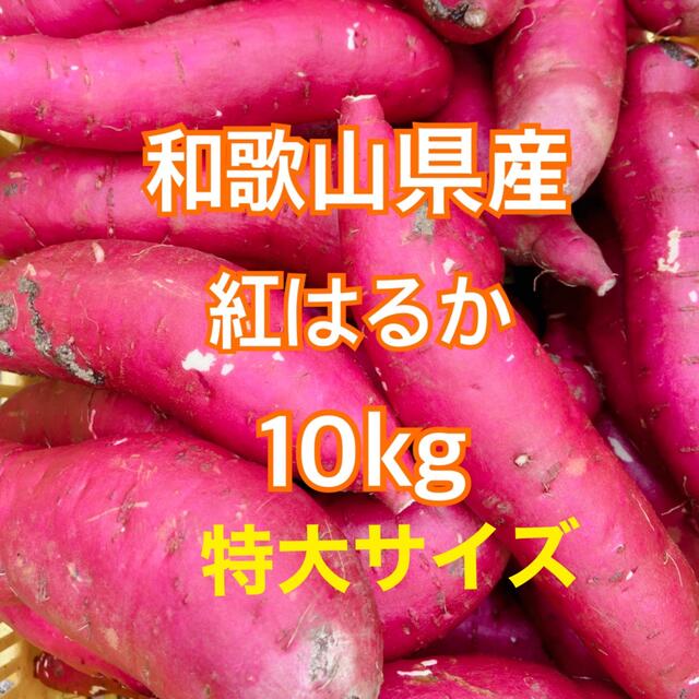 和歌山県産★紅はるか さつまいも 10キロ 土付き サツマイモ 食品/飲料/酒の食品(野菜)の商品写真