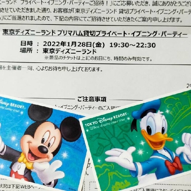 東京ディズニーランド貸切イベント プライベート イブニング パーティー 2名分 Zimazw Org