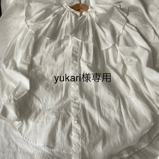 oval sheer cotton ruffle blouse(シャツ/ブラウス(長袖/七分))