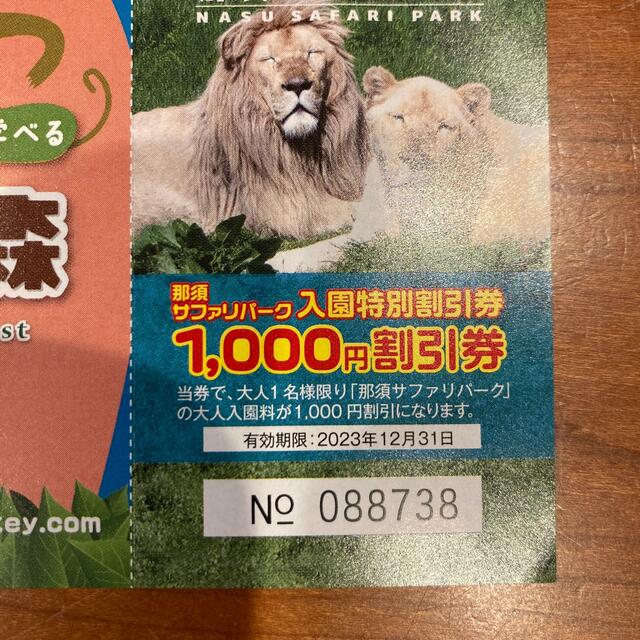 那須サファリパーク 割引券 大人1000円✖️4枚、子ども500円✖️1枚