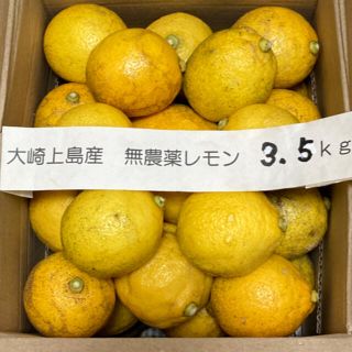 広島県大崎上島産無農薬レモン　3.5kg(フルーツ)