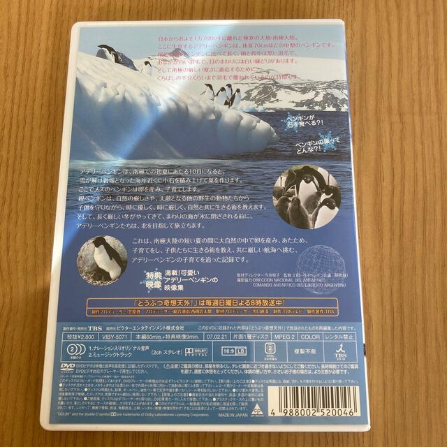 「どうぶつ奇想天外！」presents南極大陸・アデリーペンギン子育て物語 DV エンタメ/ホビーのDVD/ブルーレイ(舞台/ミュージカル)の商品写真