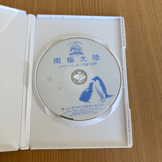 「どうぶつ奇想天外！」presents南極大陸・アデリーペンギン子育て物語 DV エンタメ/ホビーのDVD/ブルーレイ(舞台/ミュージカル)の商品写真