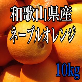 ネーブルオレンジ10kg 1(フルーツ)