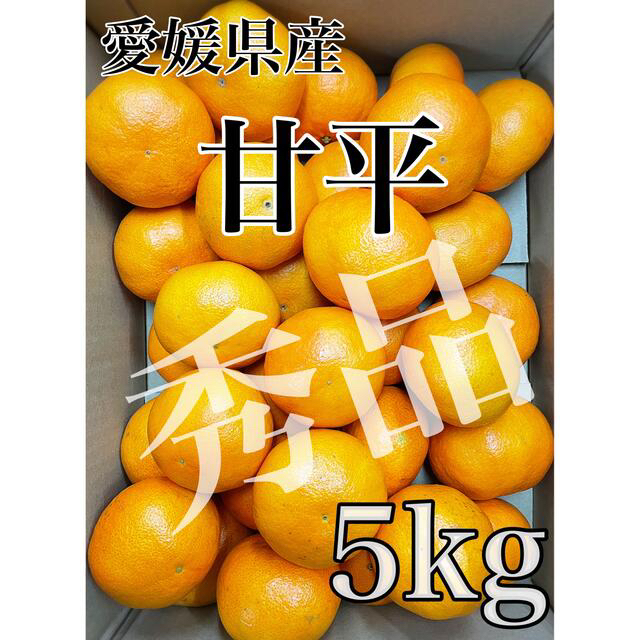 愛媛県産　家庭用【甘平】秀品 Mサイズ　5kg ！！ 食品/飲料/酒の食品(フルーツ)の商品写真