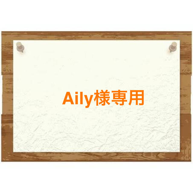 【Aily様専用♡】 その他のその他(その他)の商品写真