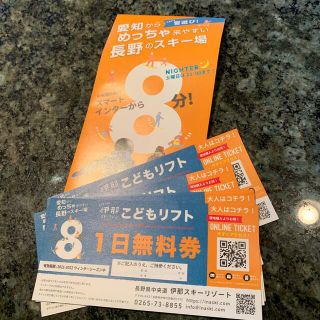 伊那子どもリフト無料券✖️8駒ヶ根子どもリフト無料券(スキー場)