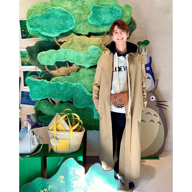 LOEWE - LOEWE 【となりのトトロ】即完売品の通販 by 3|ロエベ LOEWE - LOEWE 【となりのトトロ】即完売品の通販 by 3|ロエベ