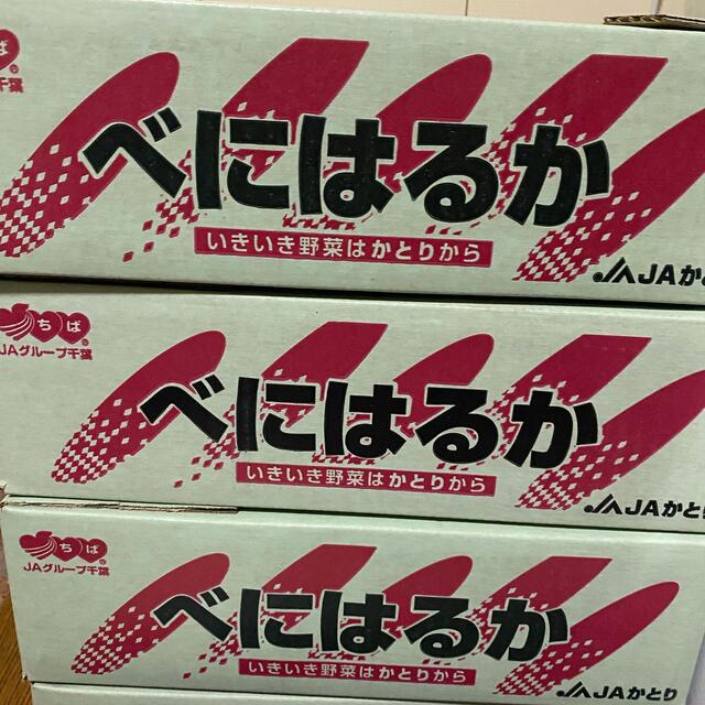 紅はるか　千葉県産　箱含む5kg  さつまいも 食品/飲料/酒の食品(野菜)の商品写真