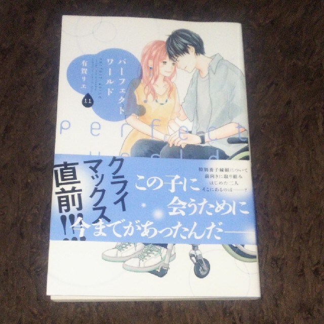 講談社(コウダンシャ)のパーフェクトワールド １１ 有賀リエ エンタメ/ホビーの漫画(少女漫画)の商品写真