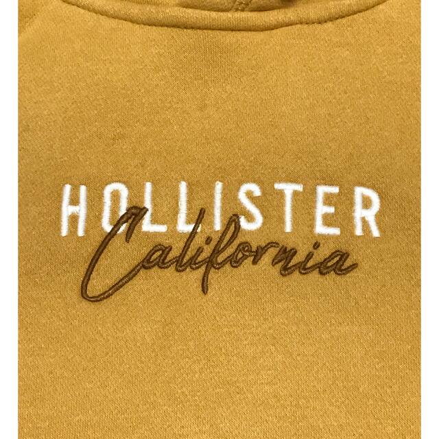 Hollister(ホリスター)の[新品未開封]HOLLISTER☆パーカー メンズのトップス(パーカー)の商品写真