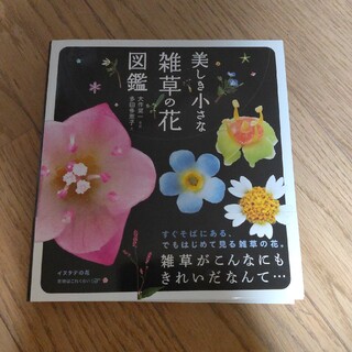 美しき小さな雑草の花図鑑(趣味/スポーツ/実用)