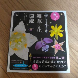 もっと美しき小さな雑草の花図鑑(趣味/スポーツ/実用)