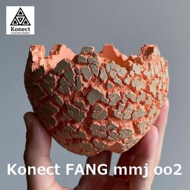 Konect FANG／コネクト ファング／mmj oo2／村上淳コラボ／鉢 インテリア/住まい/日用品のインテリア小物(花瓶)の商品写真