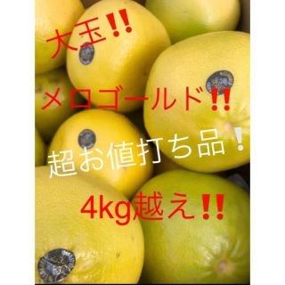 大玉　メロゴールド　4kg越え(フルーツ)