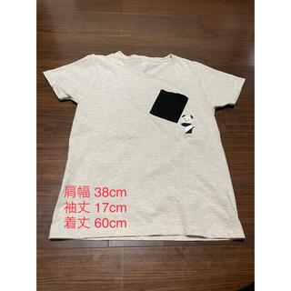 グラニフ(Design Tshirts Store graniph)のデザインTシャツ ストアグラニフ Tシャツ レディース SSサイズ 半袖(Tシャツ(半袖/袖なし))