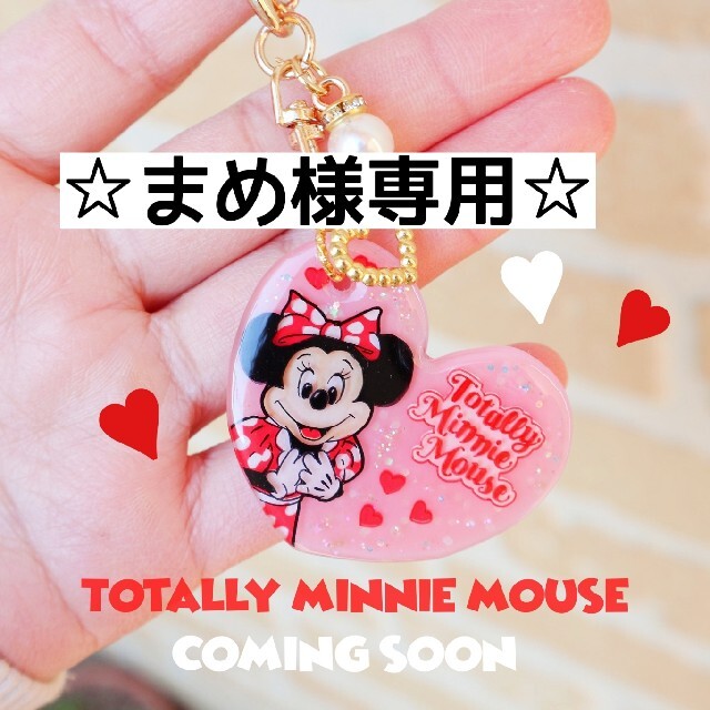 Disney(ディズニー)の☆まめ様専用ページ☆ ハンドメイドのアクセサリー(キーホルダー/ストラップ)の商品写真