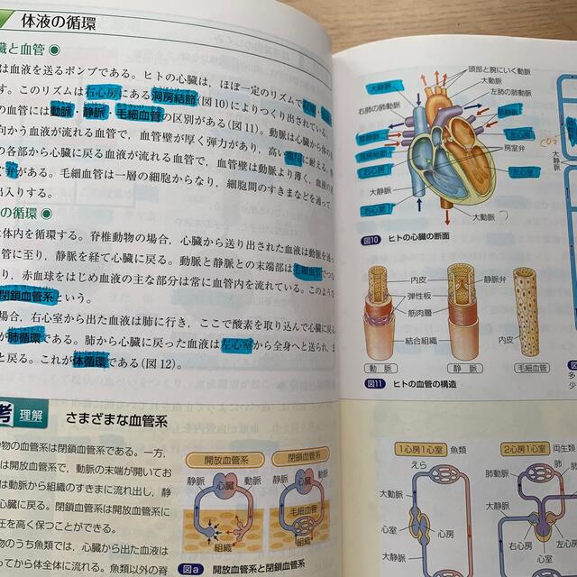 生物基礎　教科書　啓林館315 エンタメ/ホビーの本(語学/参考書)の商品写真