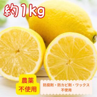 無農薬・国産レモン 1kg 小玉〜中玉 【防腐剤・防カビ剤・ワックス不使用】(フルーツ)