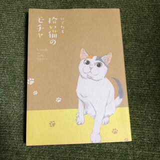 角川書店 - 拾い猫のモチャ